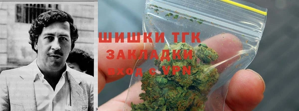 индика Горно-Алтайск