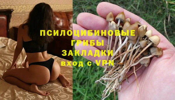 кокс Вяземский