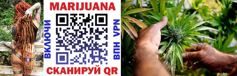 KRAKEN tor  цены   Тамбов  Бошки Шишки White Widow 